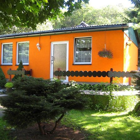 Ferienhaus Petra Elbingerode  Exterior photo